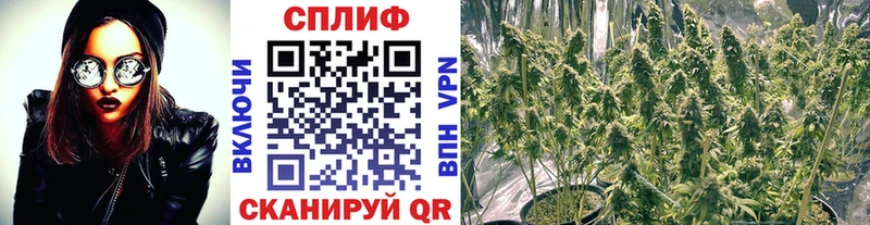 МАРИХУАНА планчик продажа наркотиков Энем